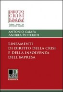 lineamenti_crisi