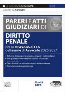 pareri_attipenale_simone